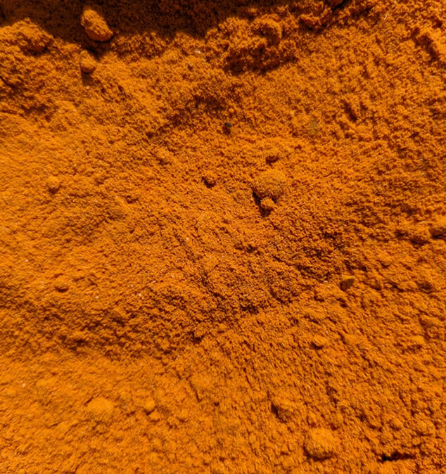 Curcuma