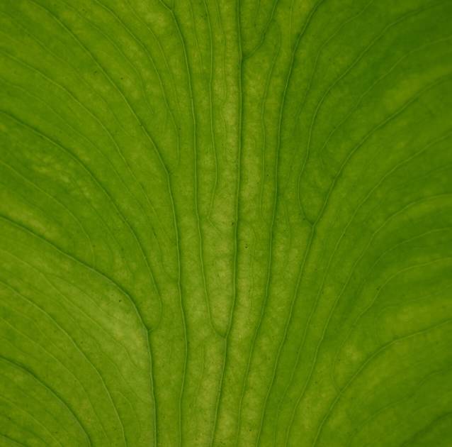 Frame 214 (1)